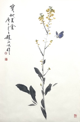 黄花蝴蝶46×70