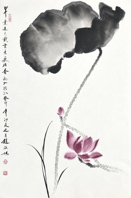 荷花46×70