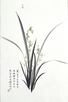 兰花46×70