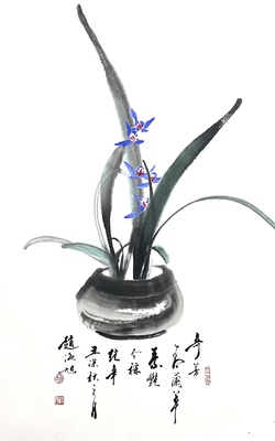 兰花46×70