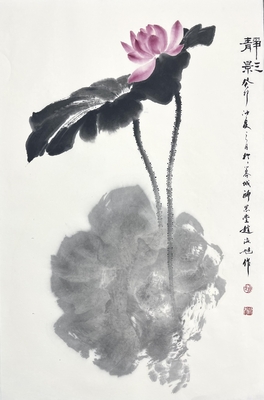 荷花46×70