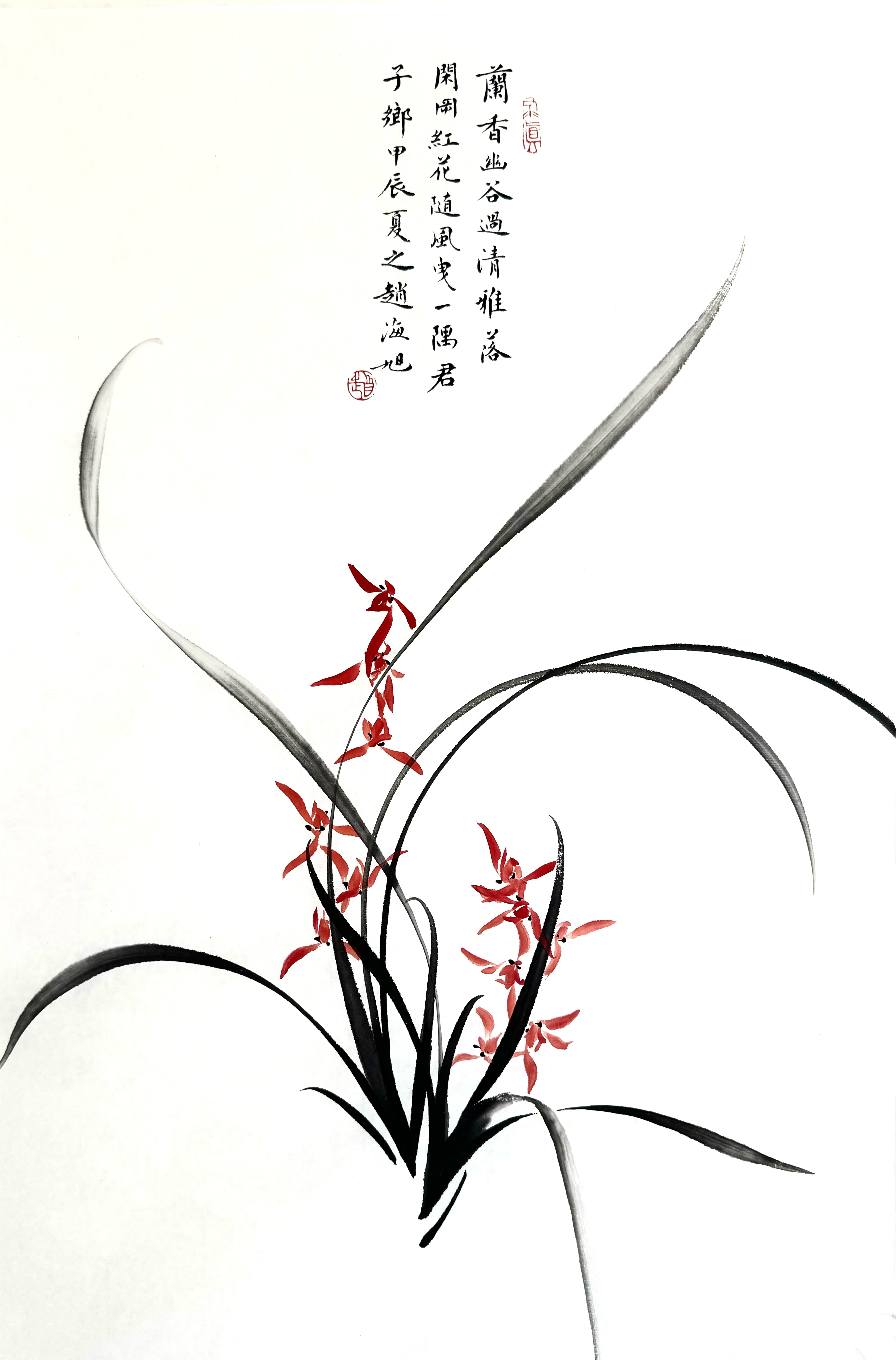 兰花幽兰46×69