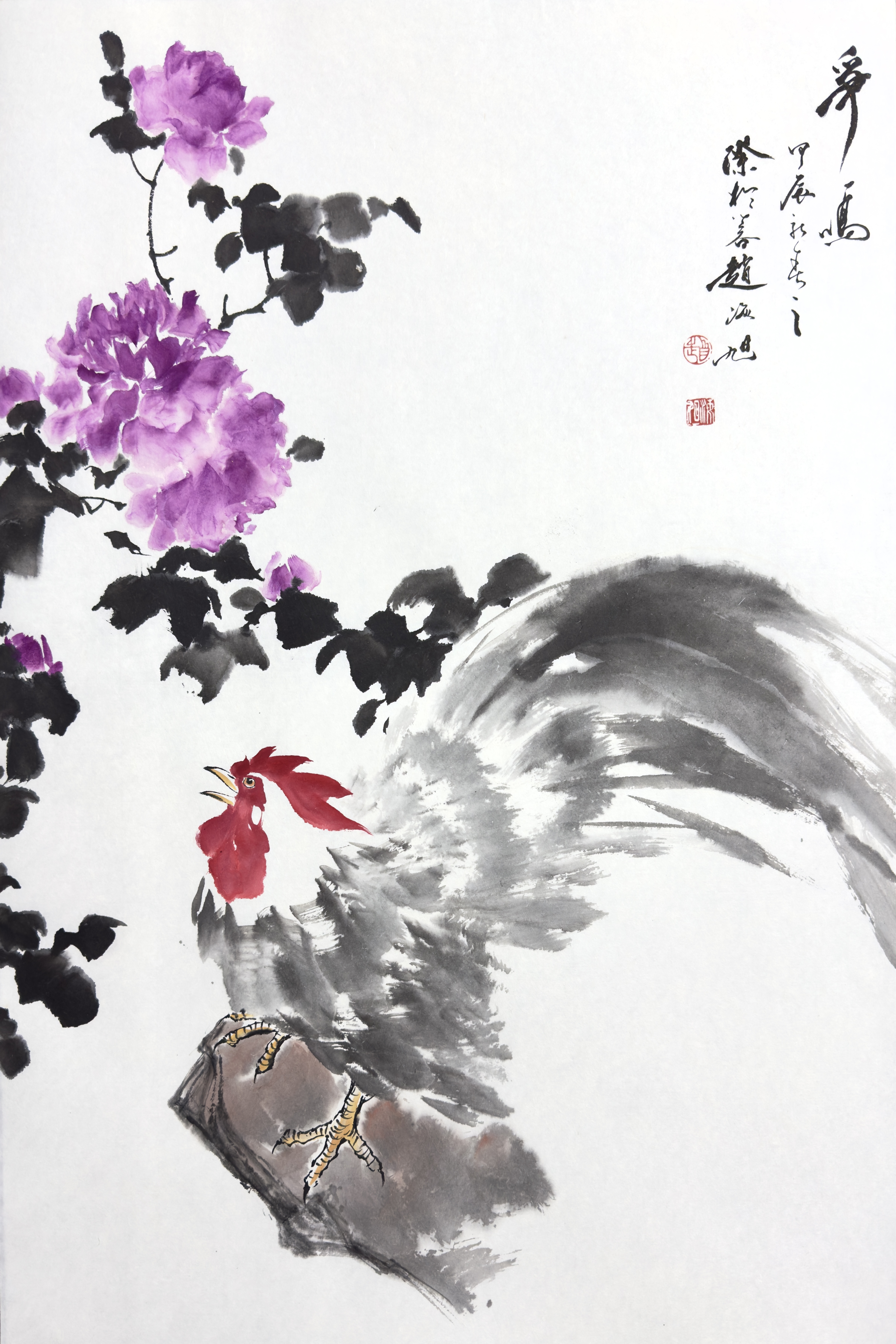 公鸡46×69