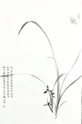 兰花蝴蝶46×70
