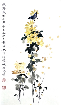 菊花蝴蝶26×46