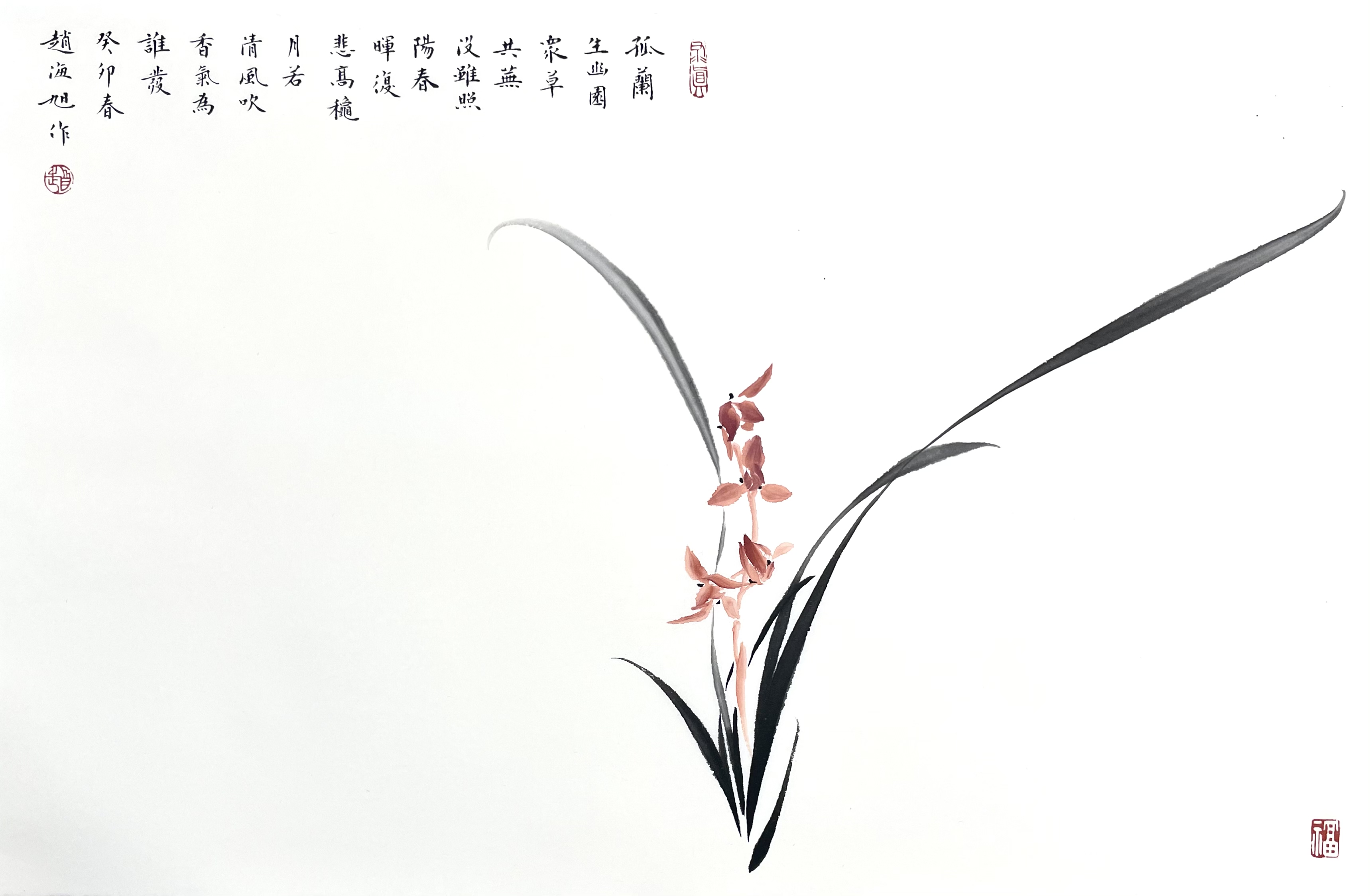 兰花46×70