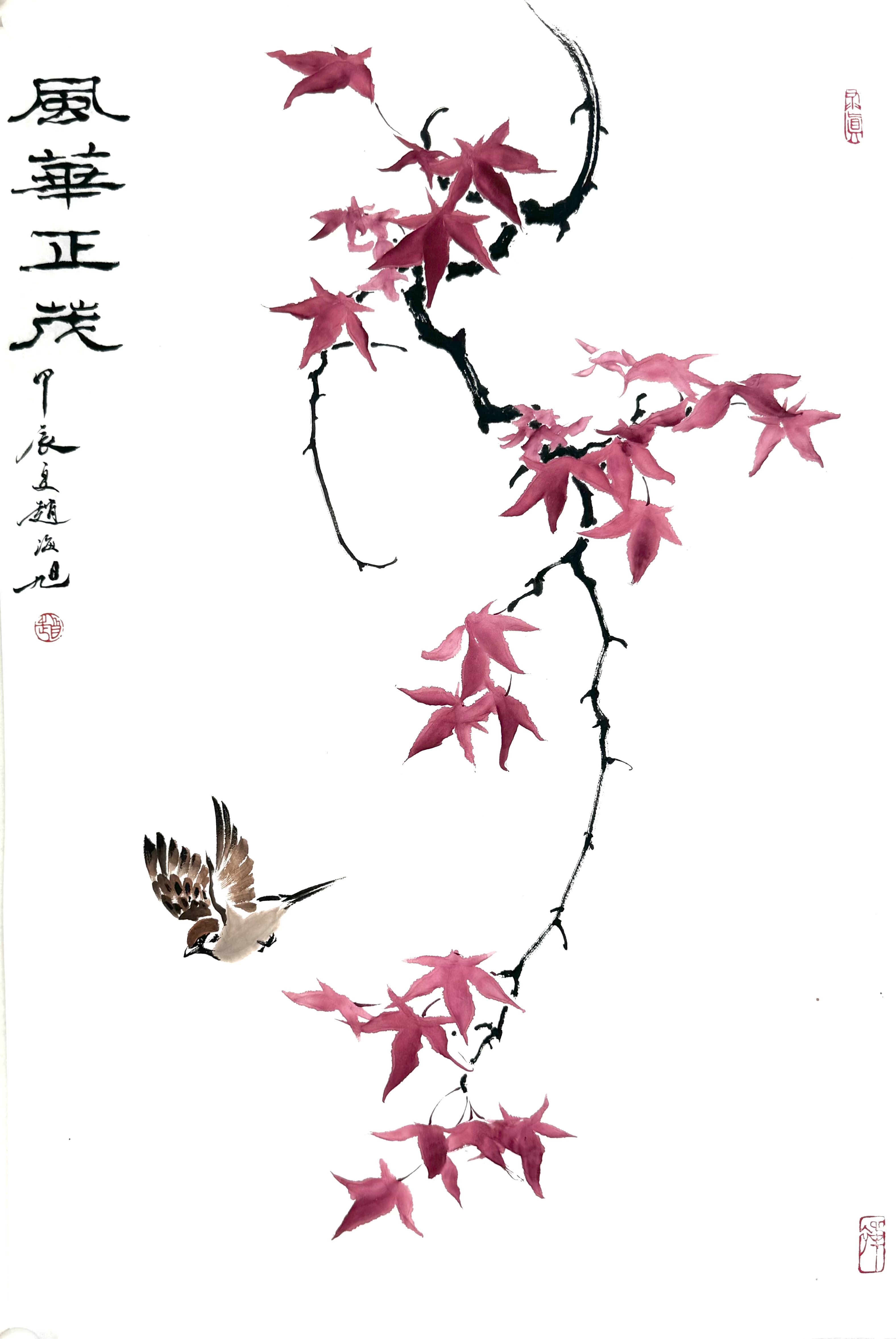 风华正茂46×69枫叶