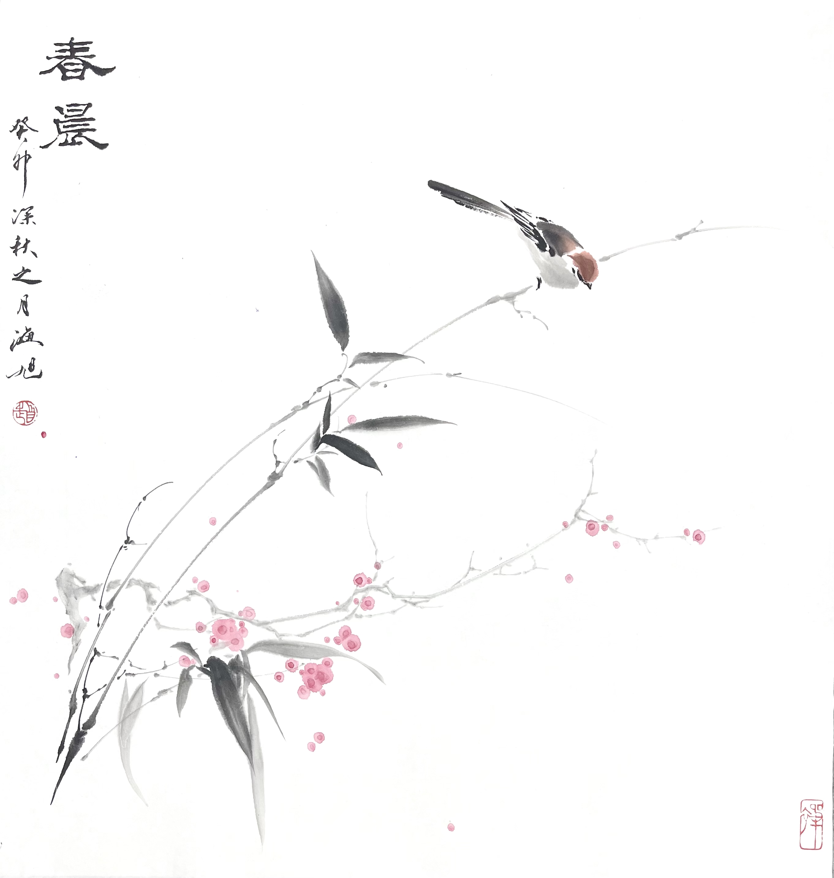 春晨53×50竹子