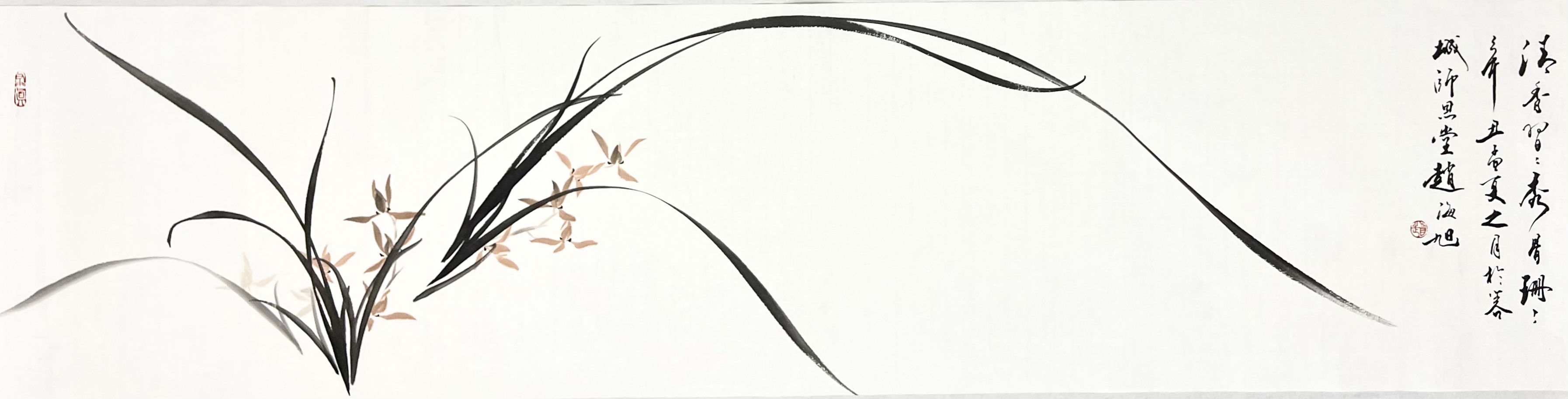 横幅兰花34×138