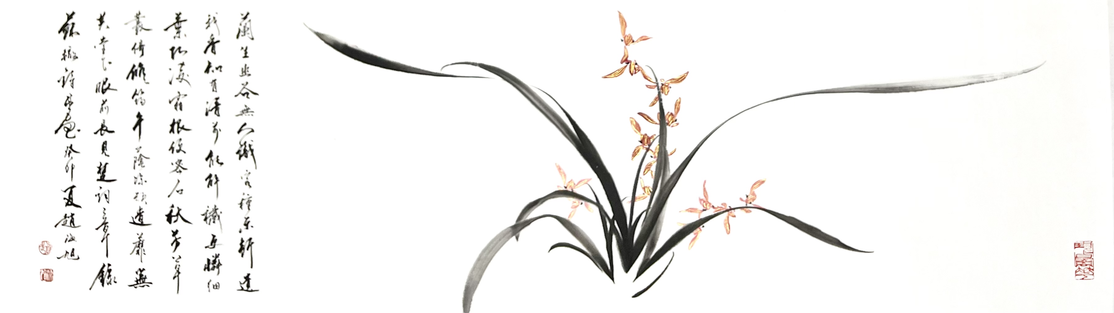 横幅兰花35×118