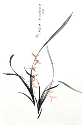 兰花46×70