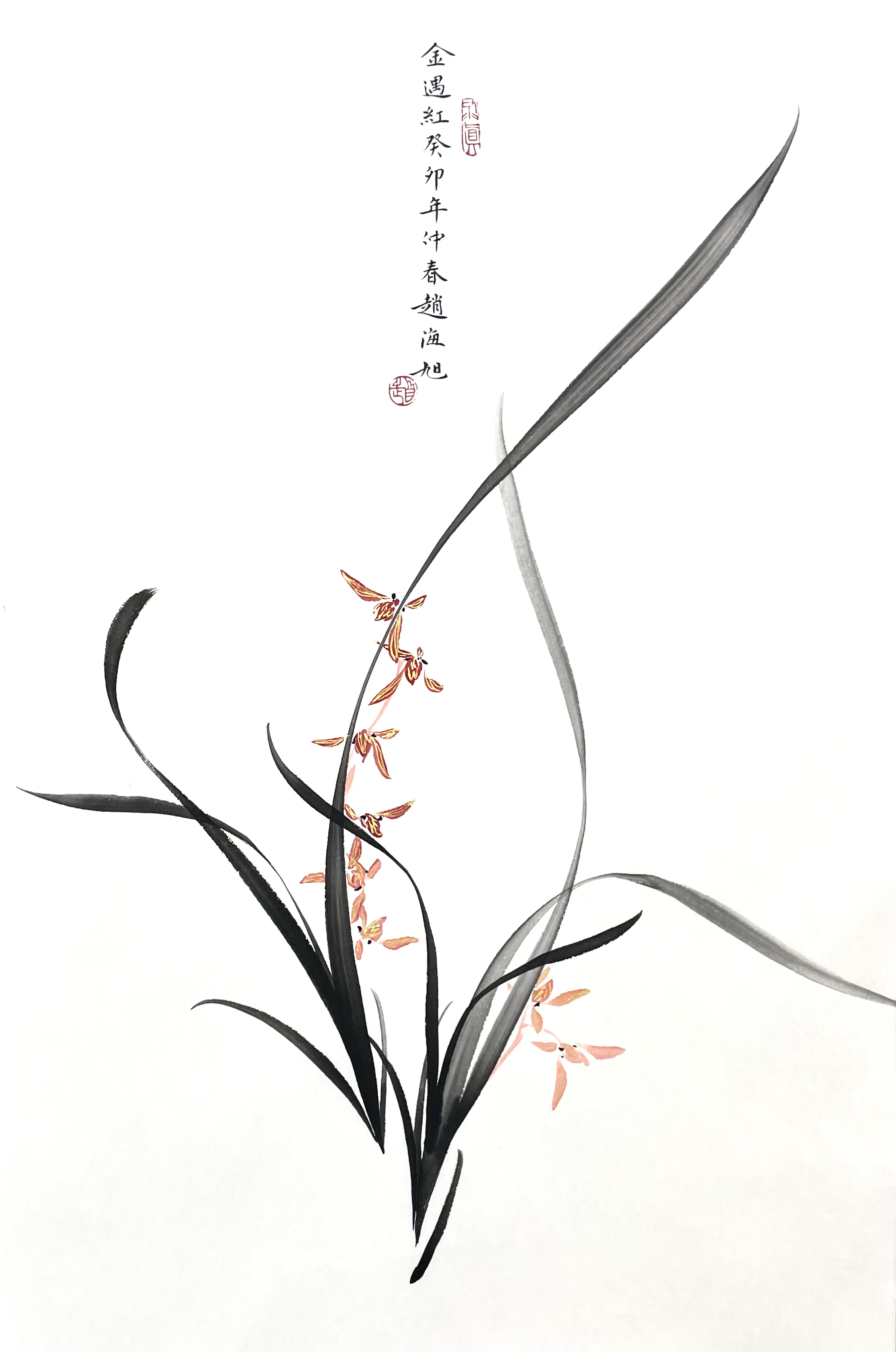 兰花46×70