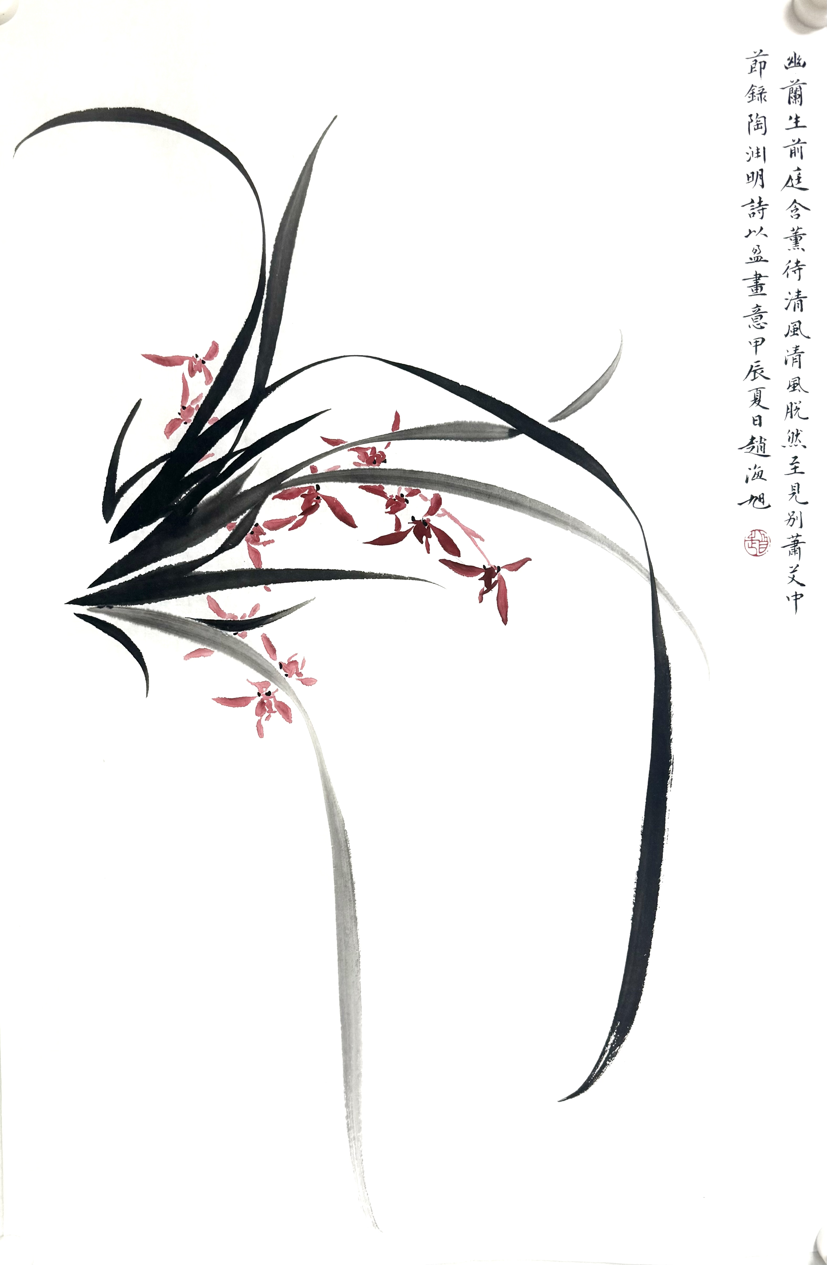 幽兰46×69兰花