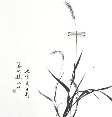 蜻蜓兰花46×46