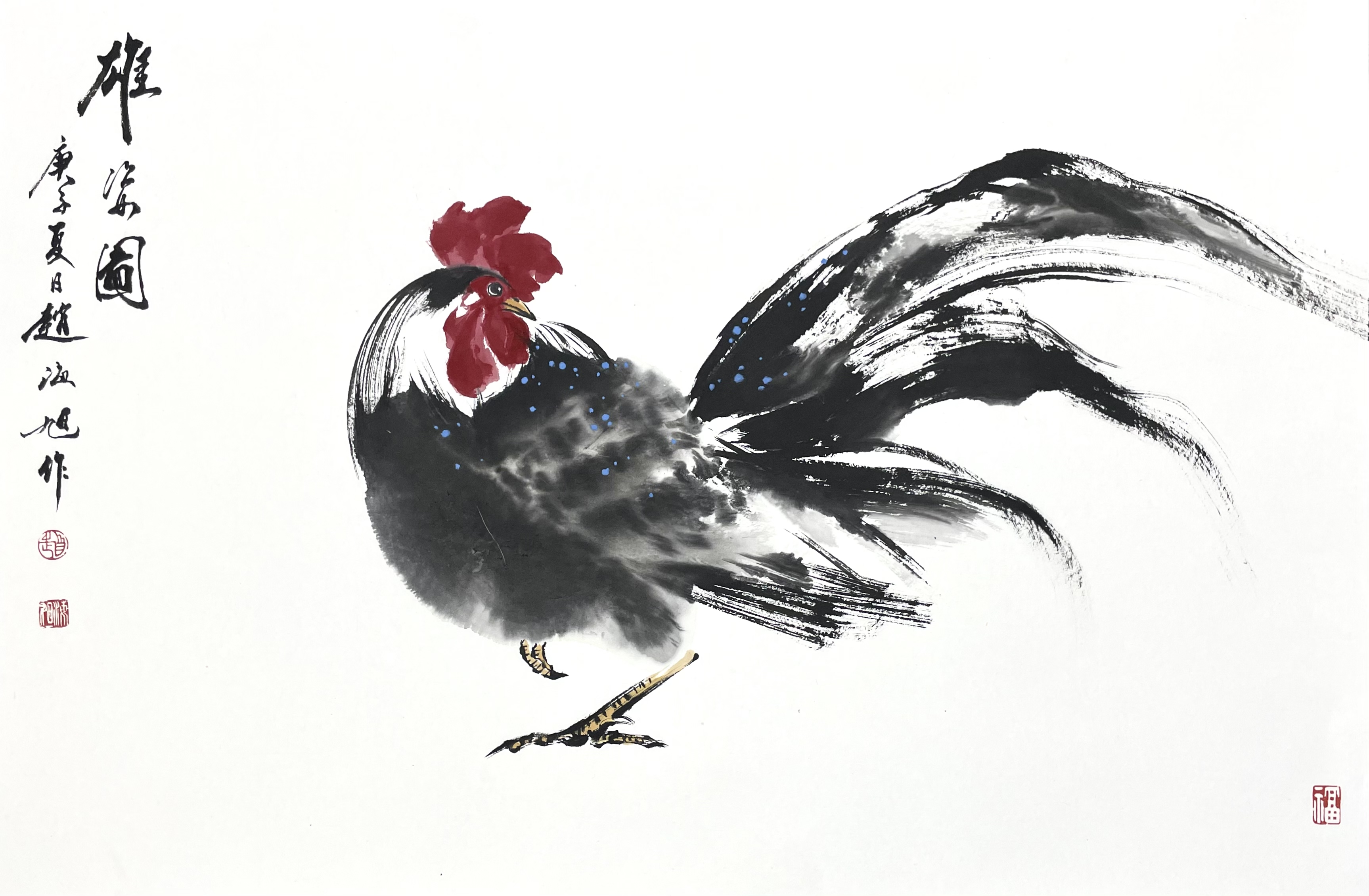 公鸡46×70