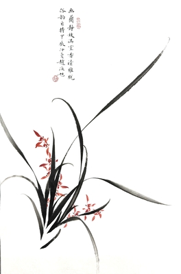兰花幽兰46×69
