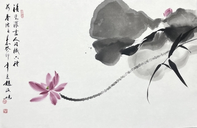 荷花46×70