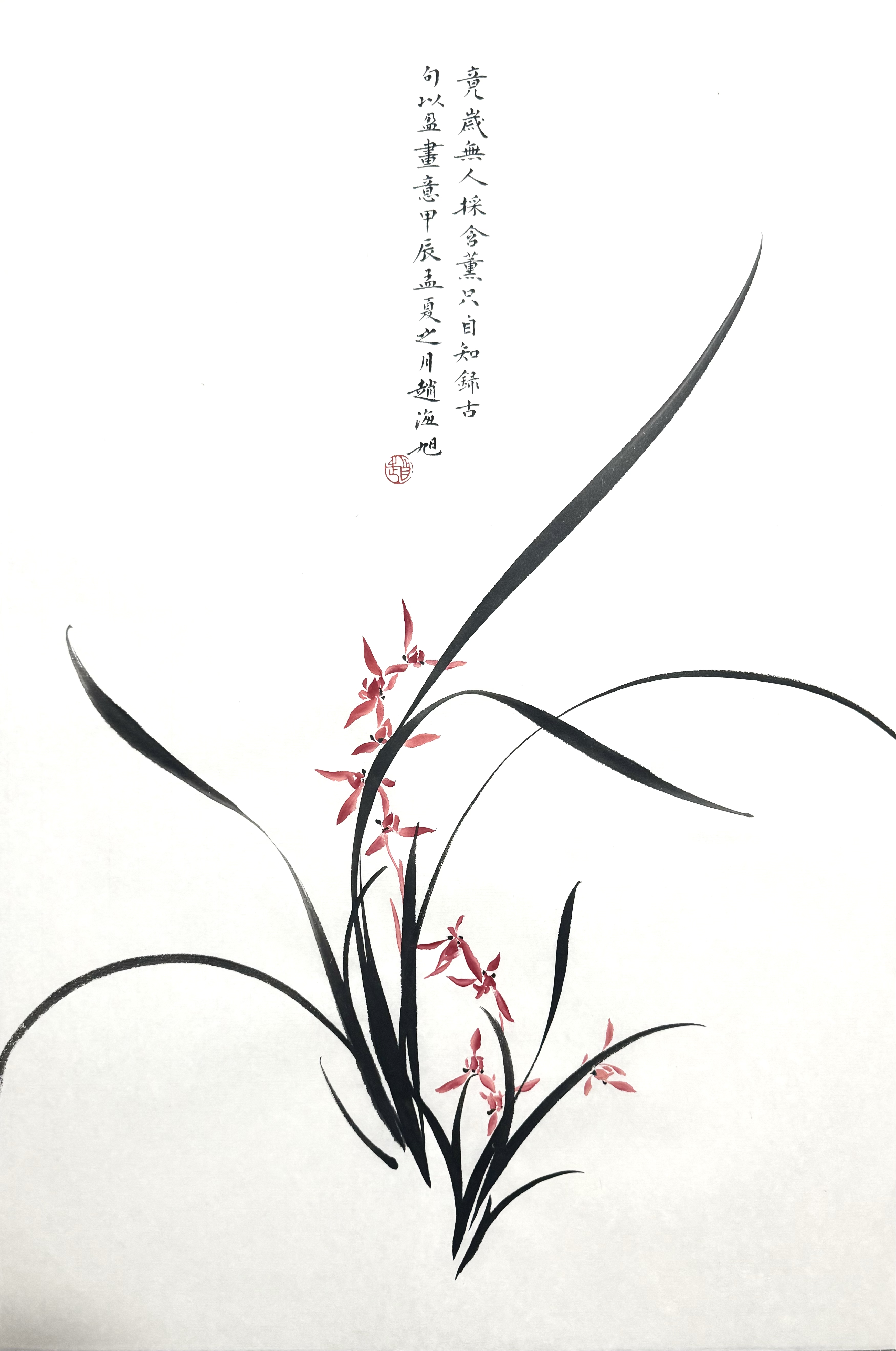 兰花幽兰46×69