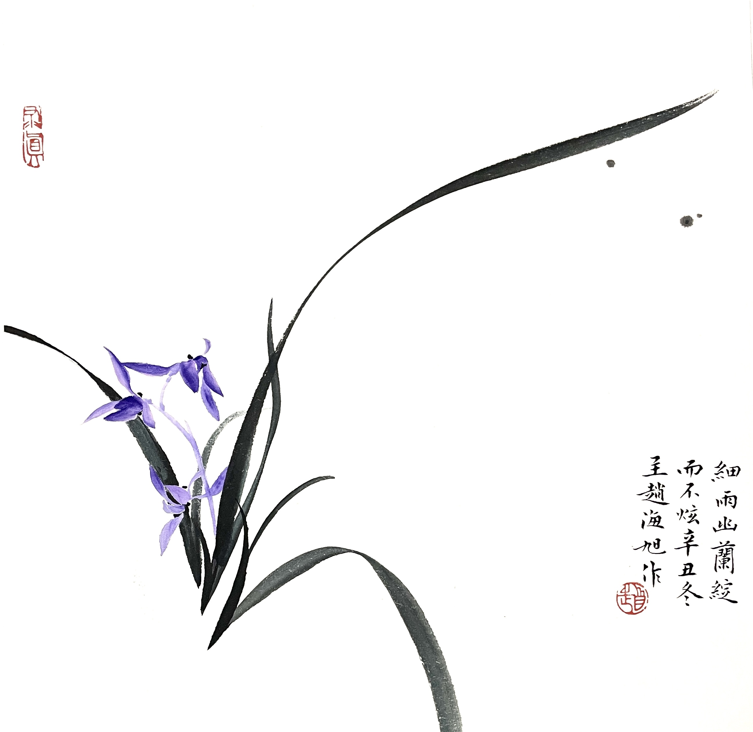 兰花33×34