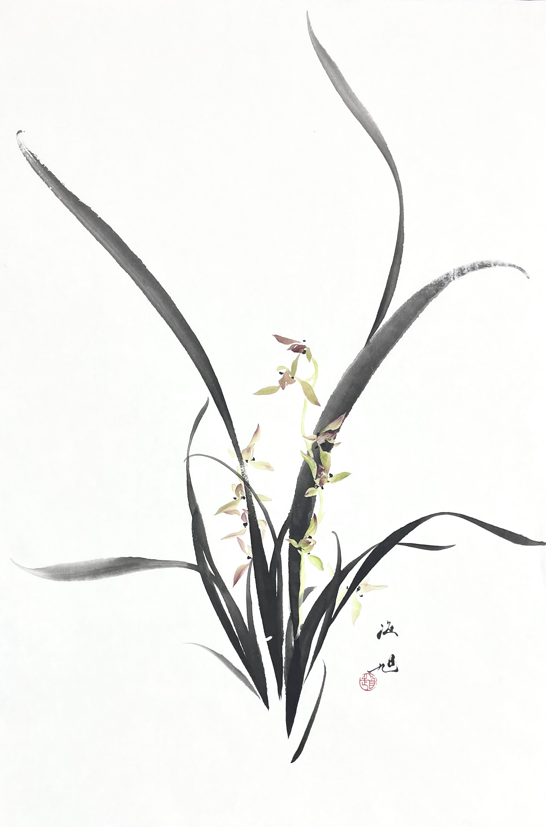 兰花46×70
