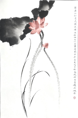 荷花46×70