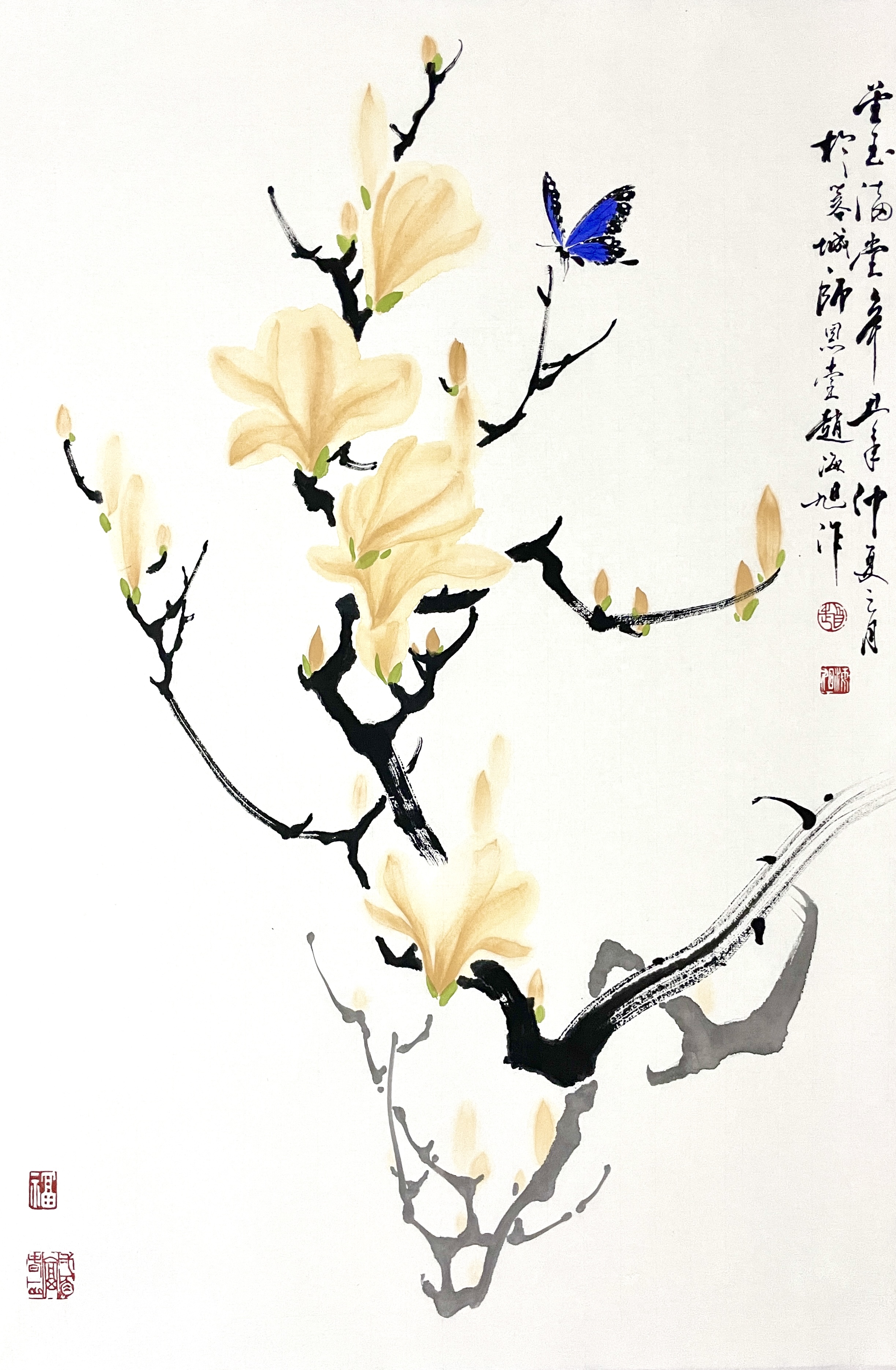 玉兰46×70