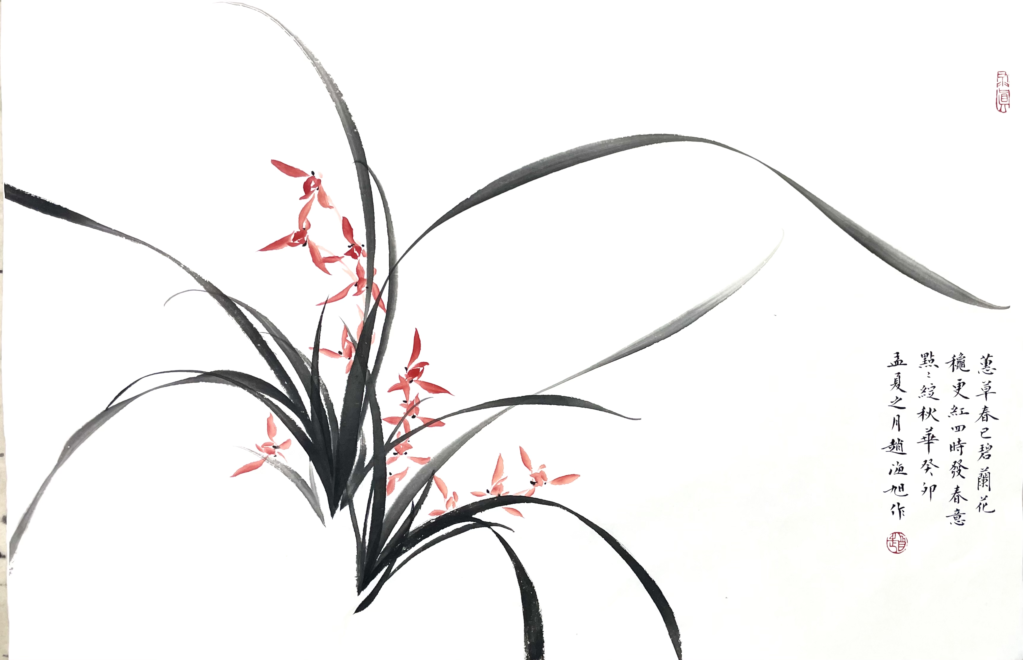 兰花46×70