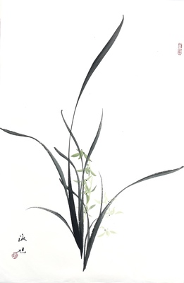 兰花46×70