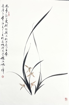 兰花46×70