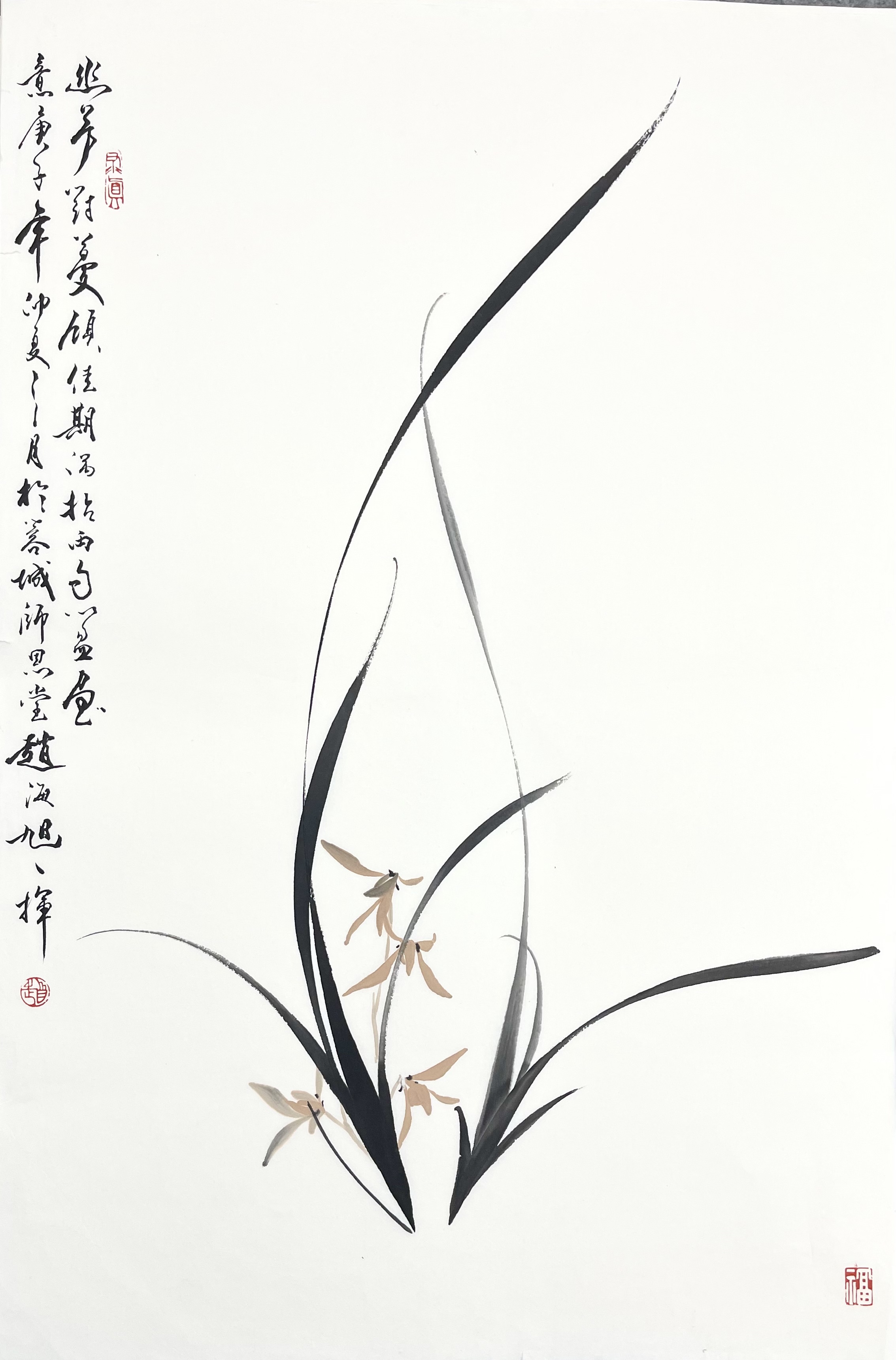 兰花46×70