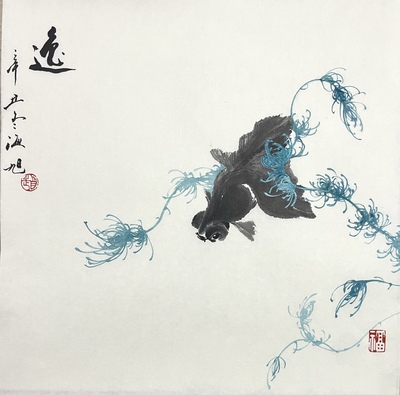 金鱼34×33