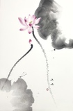 荷花46×70