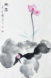 荷花46×70