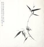 竹子小鸟50×50