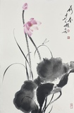 荷花46×70