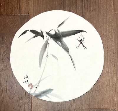竹子蜘蛛28×28
