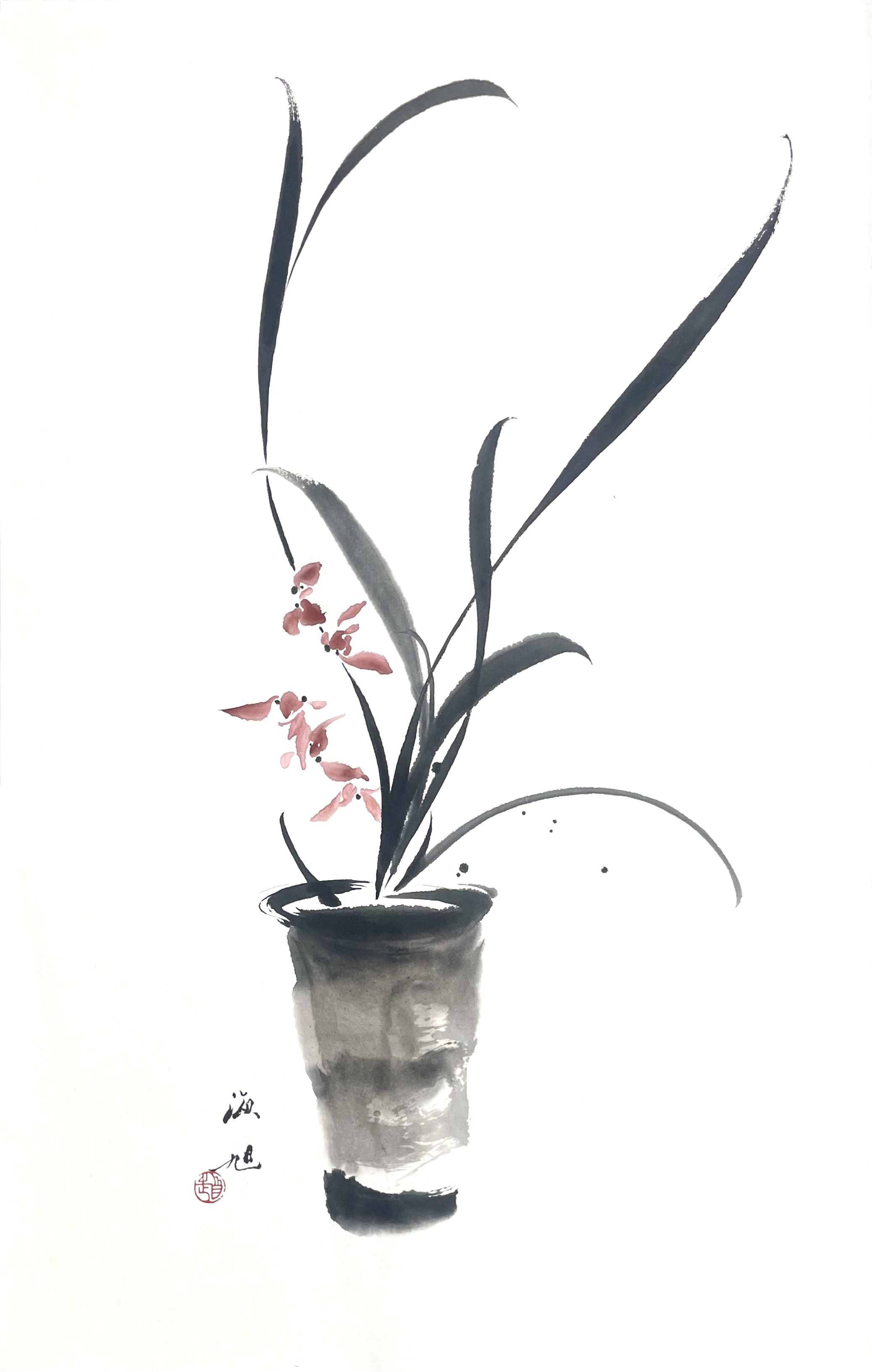 兰花42×66