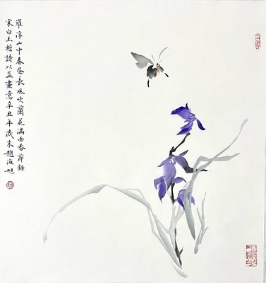 兰花蝴蝶50×50