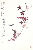 枫叶46×70