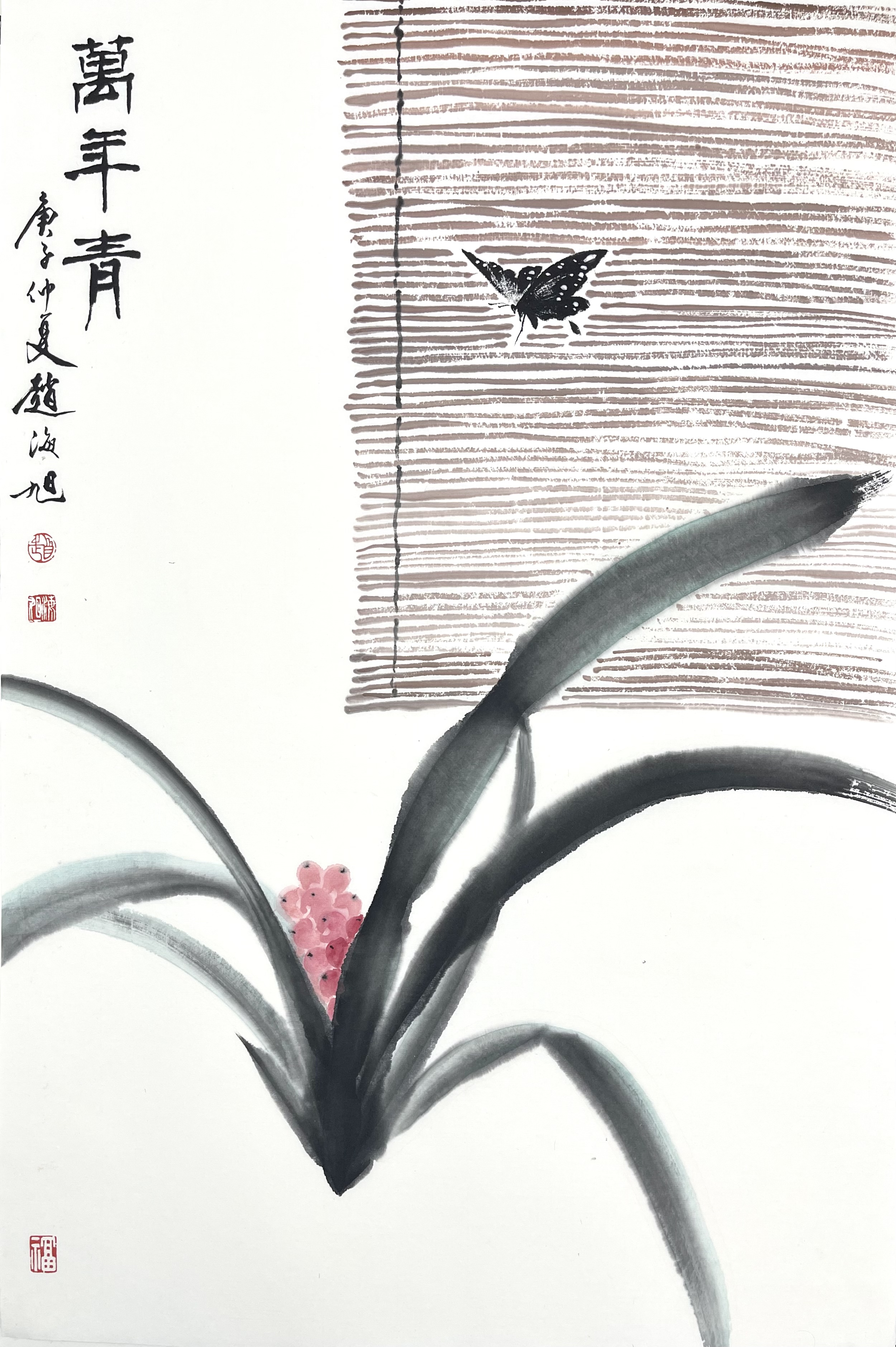 兰花46×70