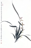兰花46×70