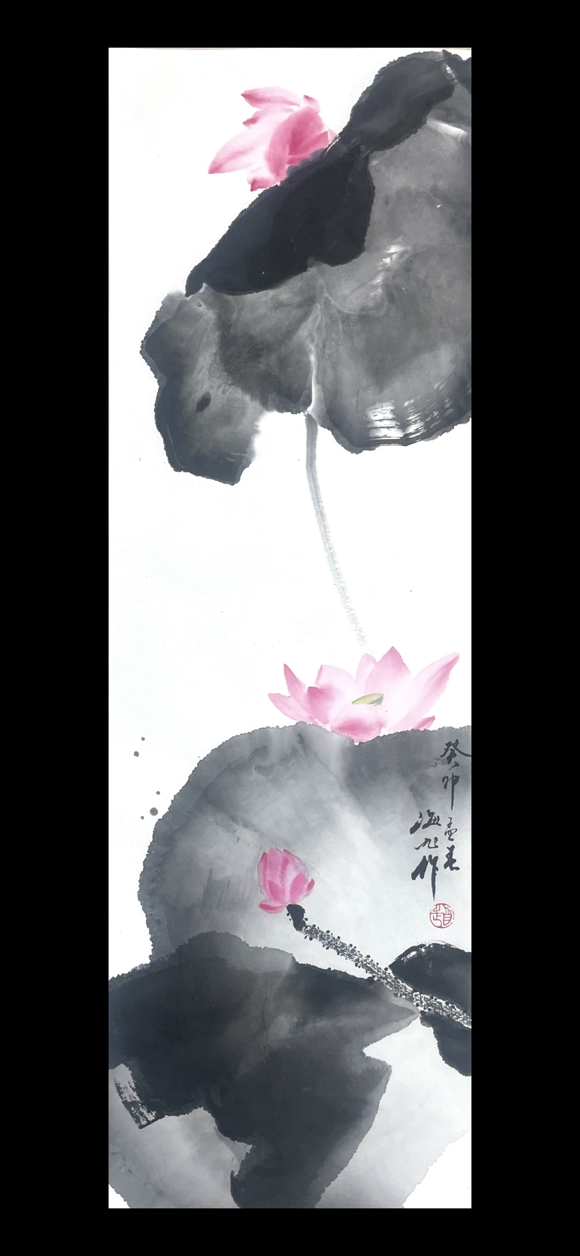 荷花23×70