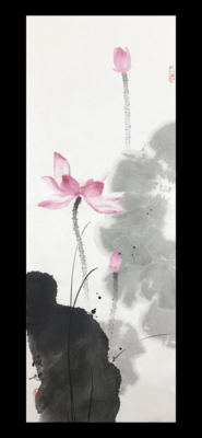 荷花26×69