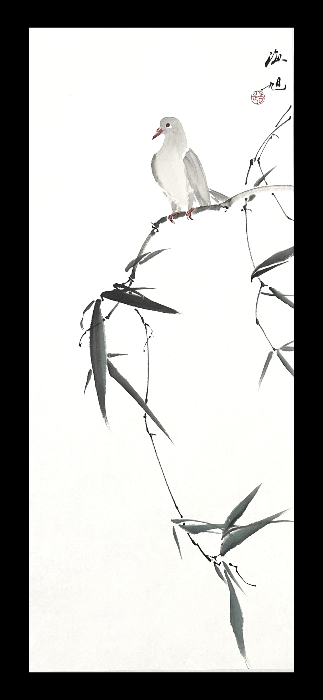 鸽子30×70