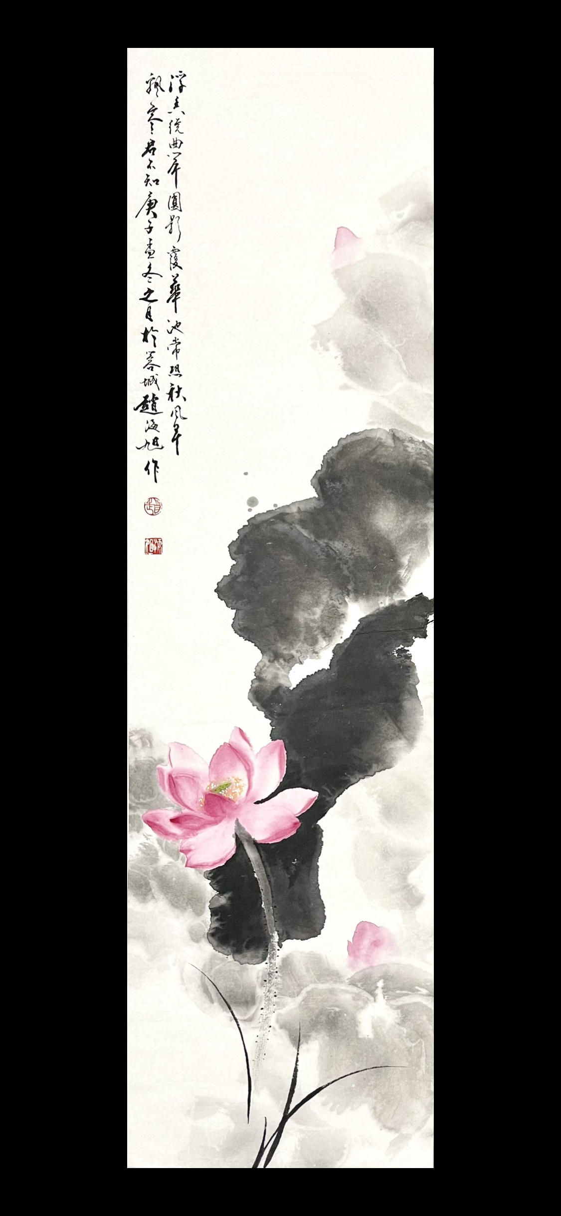 荷花26×94