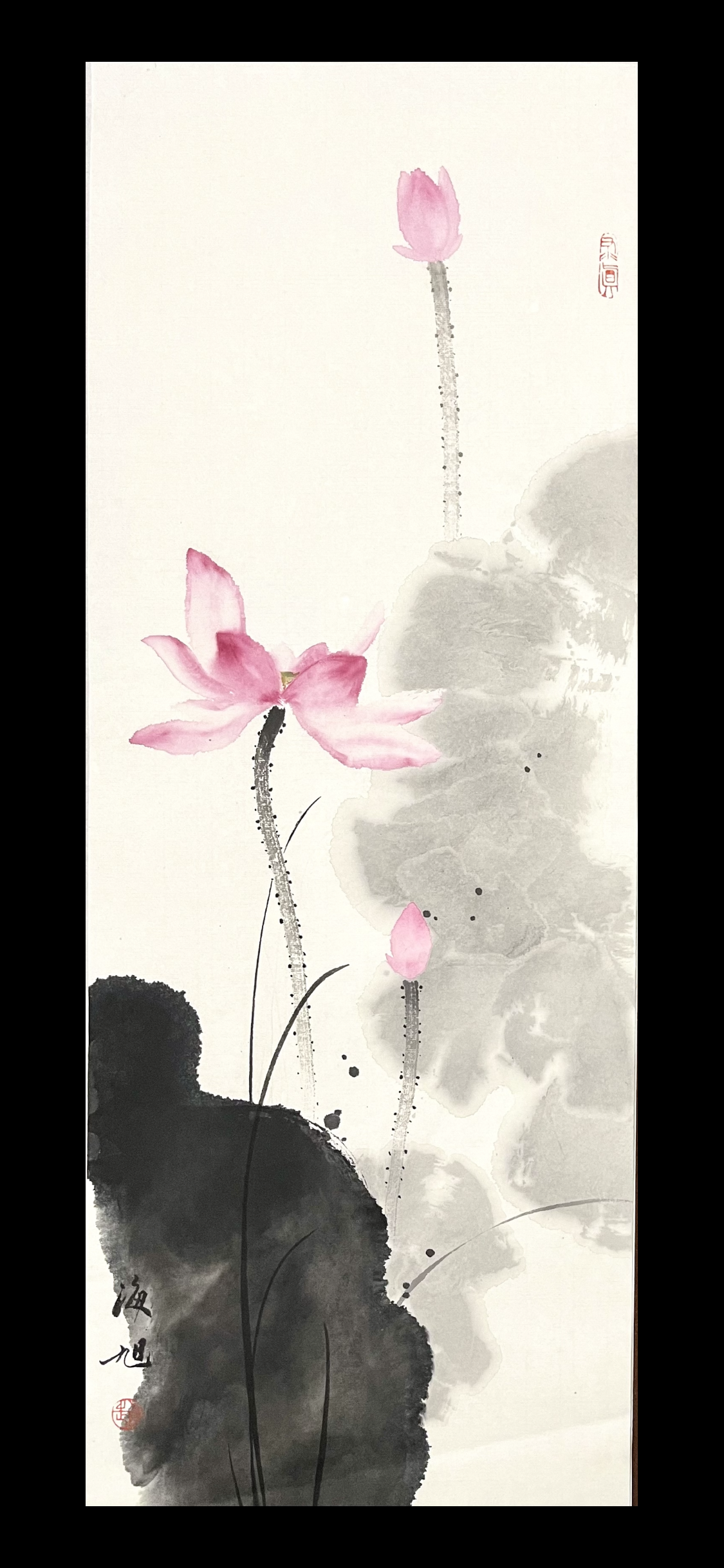 荷花26×69
