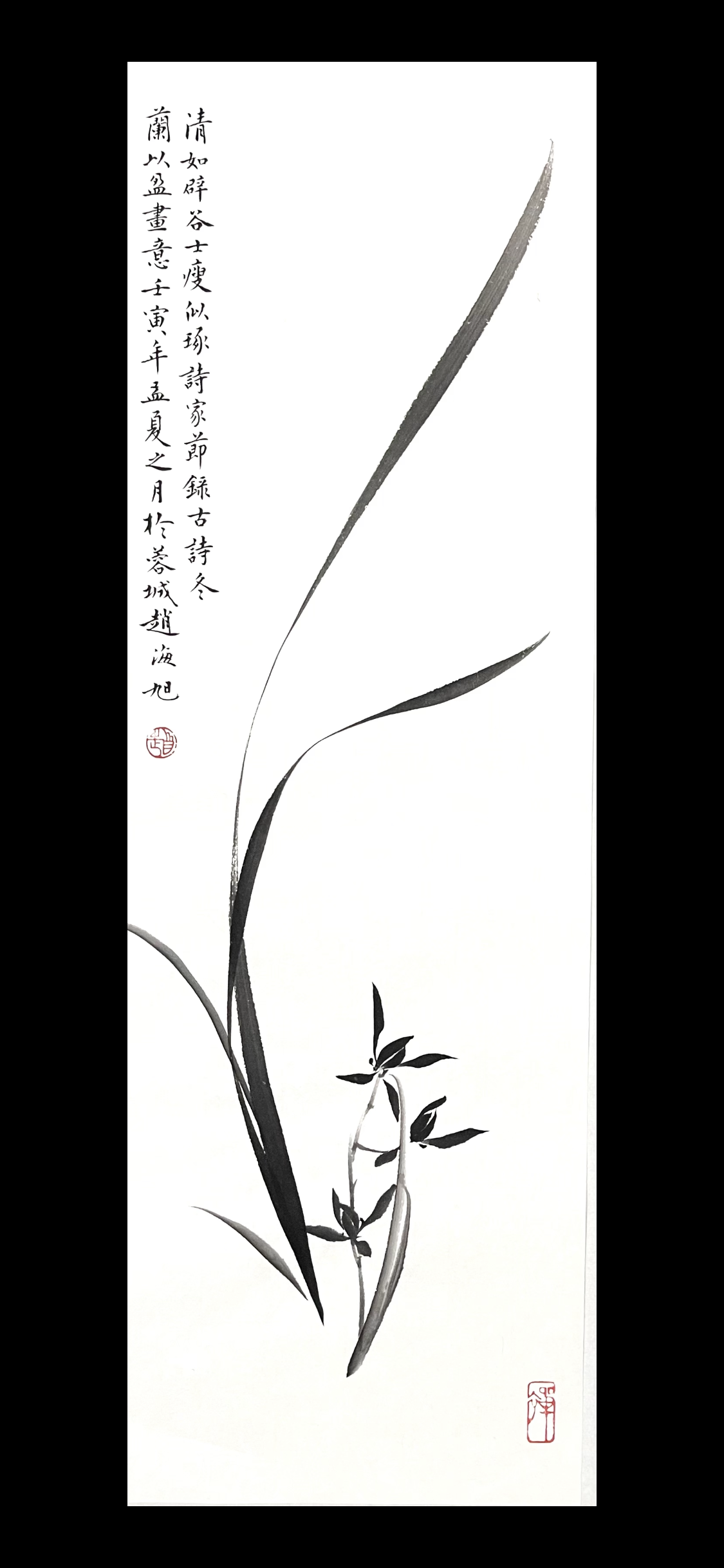 兰花23×70
