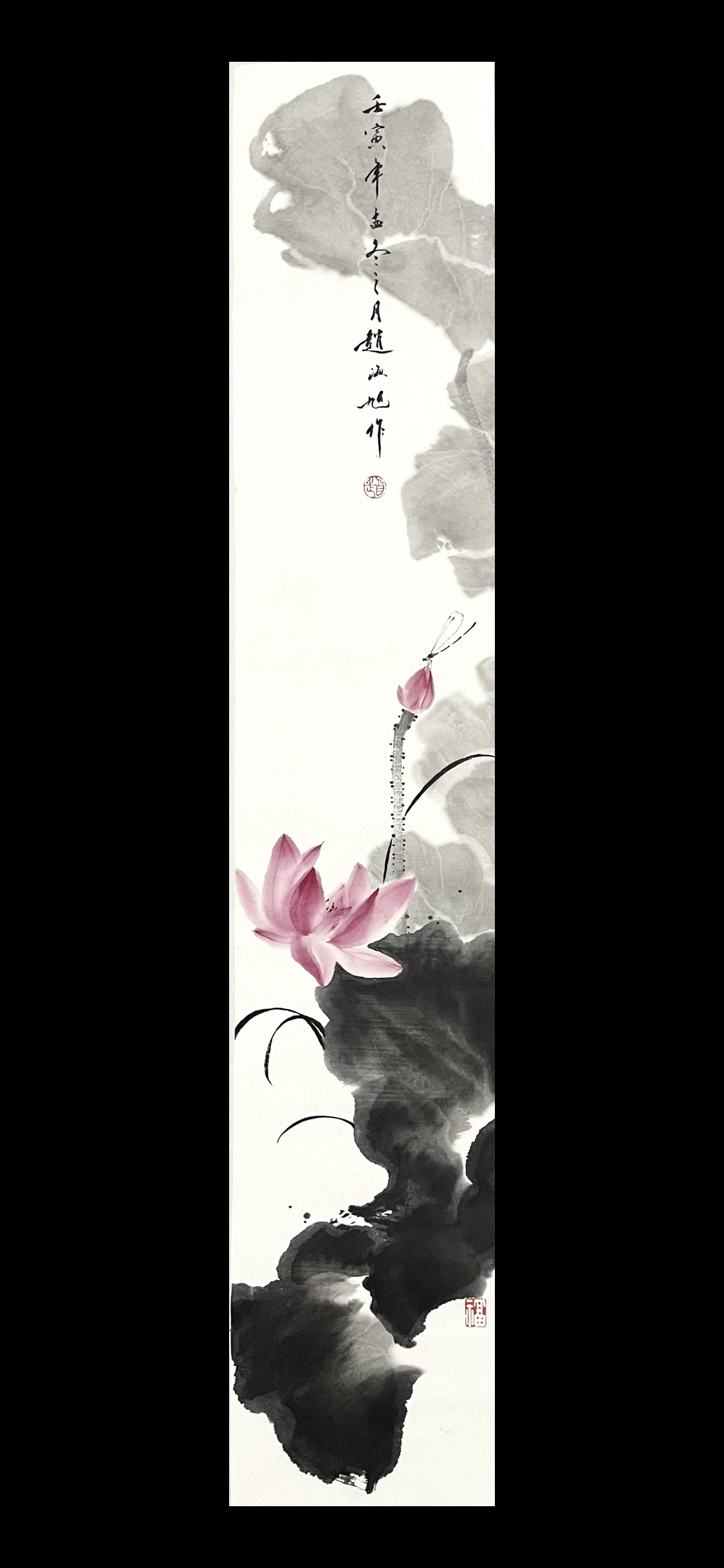 荷花17×138