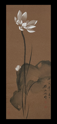古宣荷花35×69