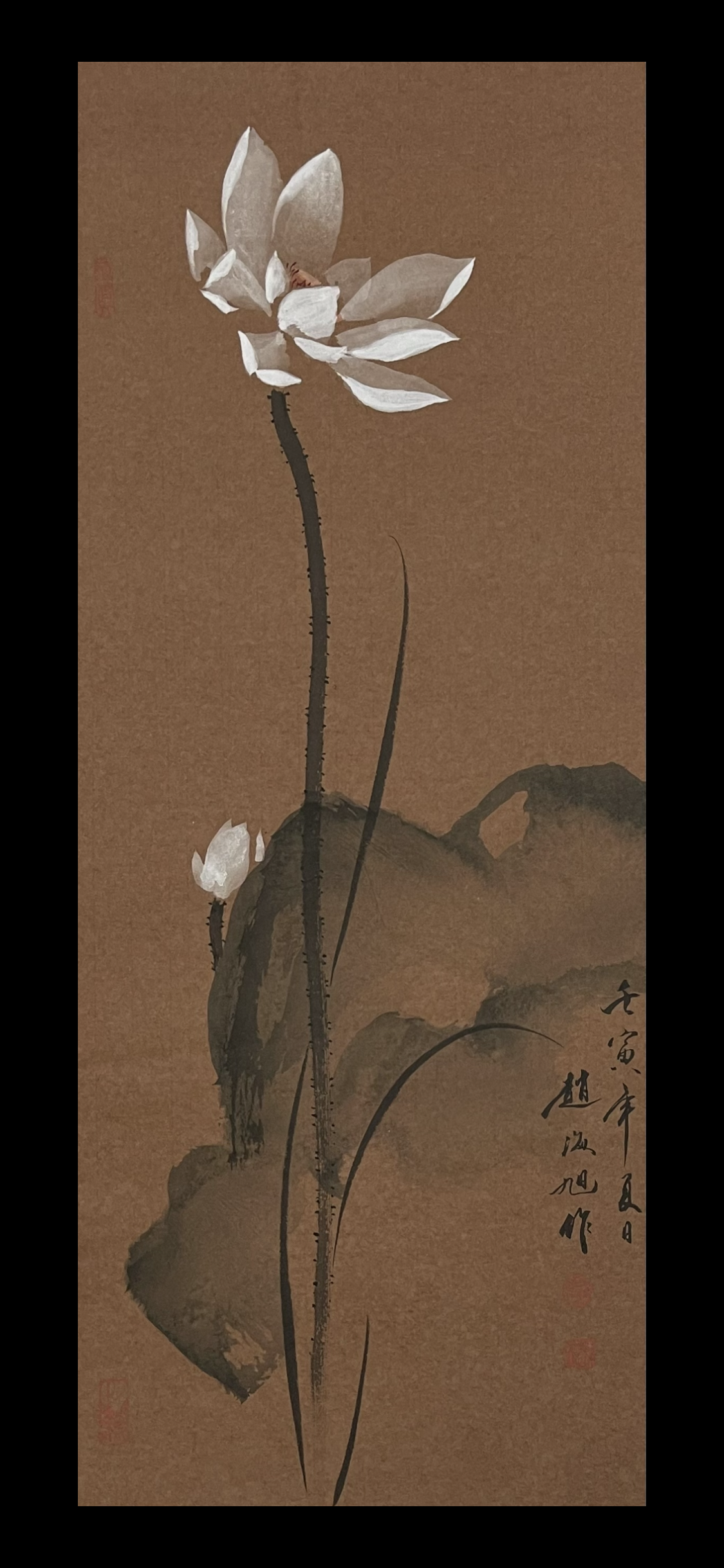 古宣荷花35×69